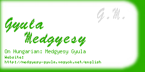 gyula medgyesy business card